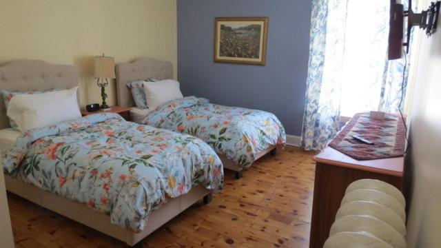 The Jellybean Heritage Inn St. John's Eksteriør billede